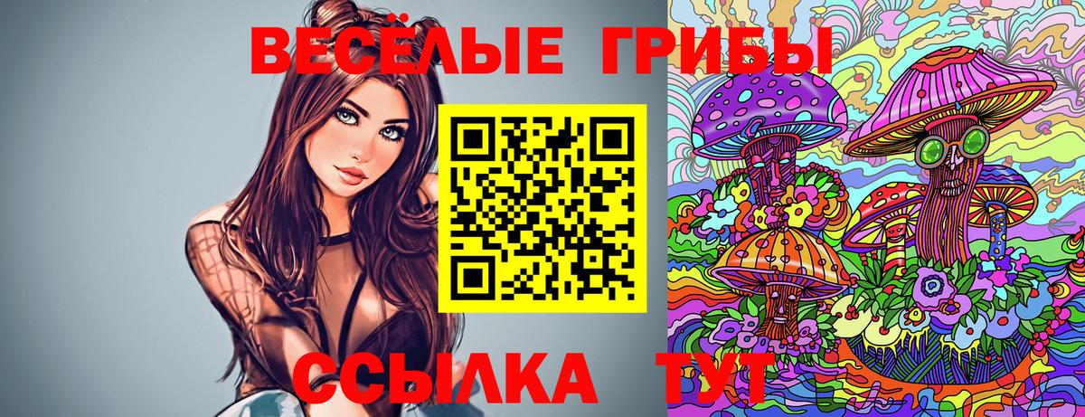 Псилоцибиновые грибы Psilocybe  купить наркотик  Нурлат  Вход с VPN 